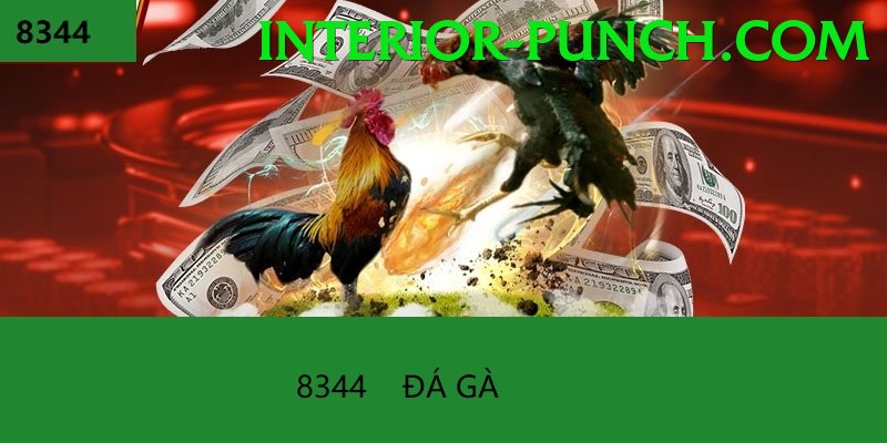 Đá Gà Trực Tiếp - Ưu đãi đặc biệt